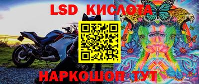 дмт Будённовск
