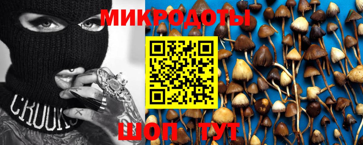 Псилоцибиновые грибы Psilocybine cubensis  Вход с VPN  Хасавюрт 